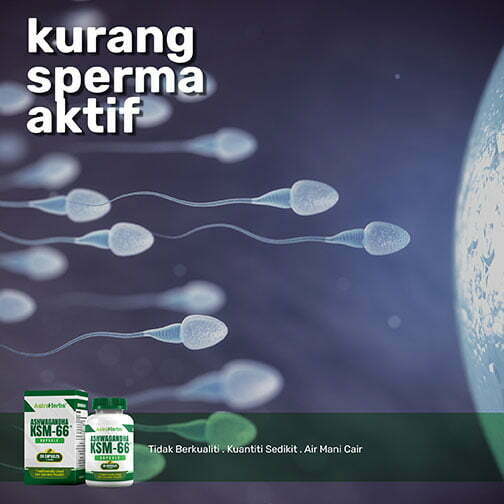 Poster_sperma-aktif-1.jpg